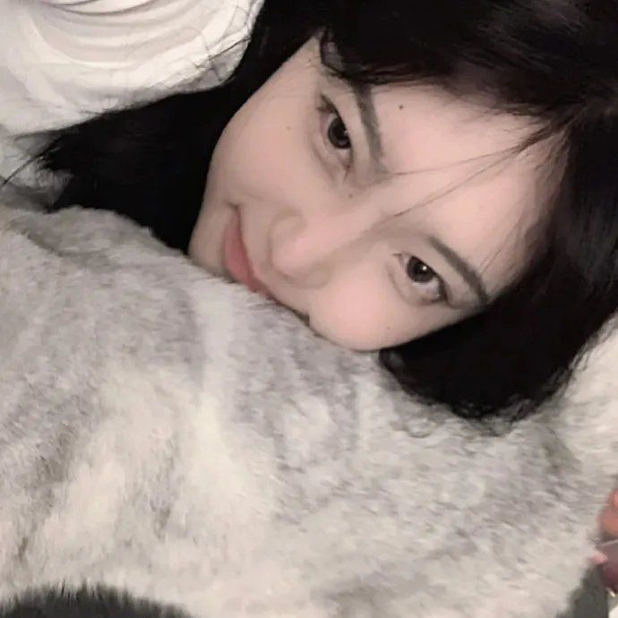 加菲猫2